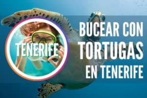 buceo con tortugas tenerife