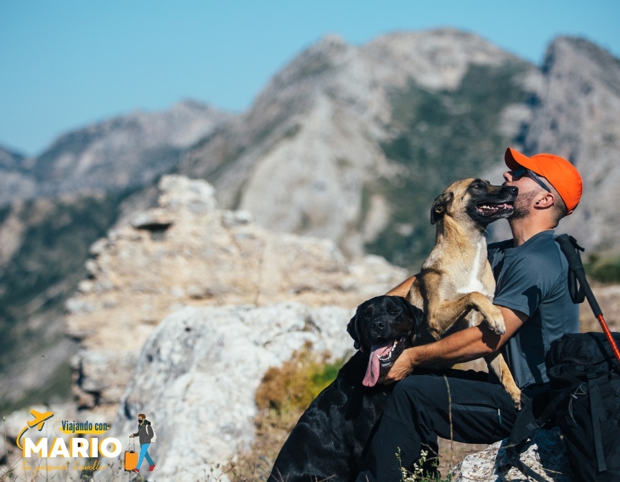 Consejos de Viaje Mallorca con Perro