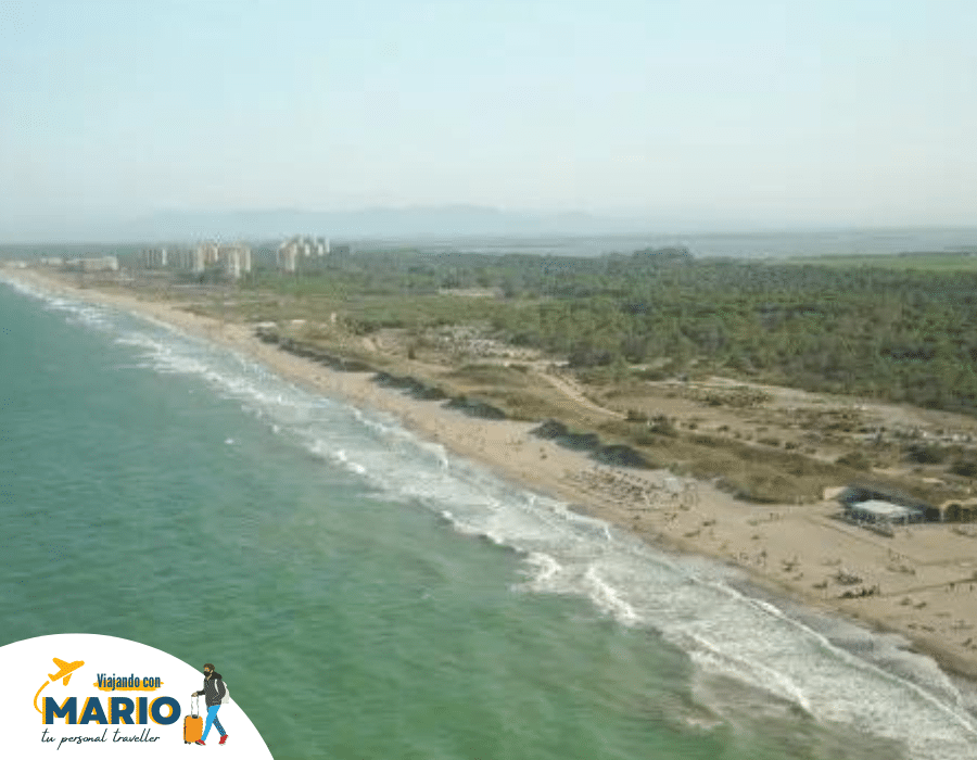 Playa de l'Arbre del Gos valencia