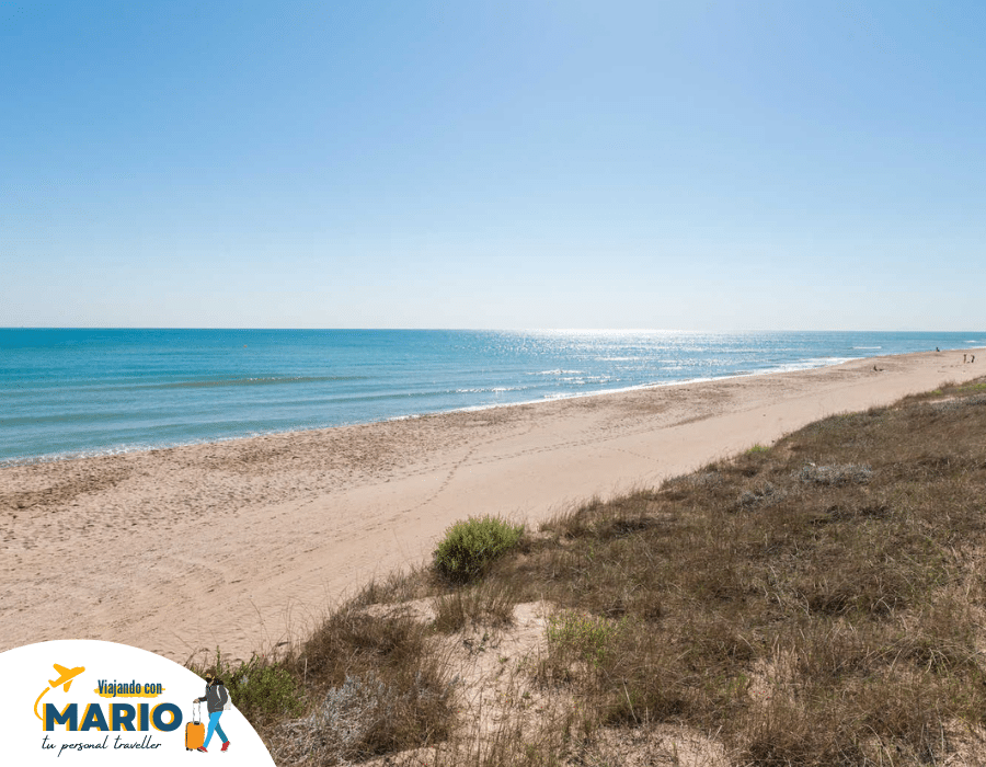 playa nudista el saler valencia