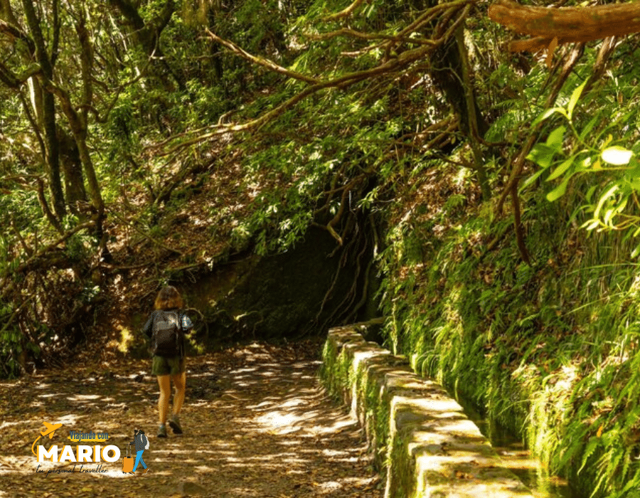 Gruta Caldeirão Verde Madeira