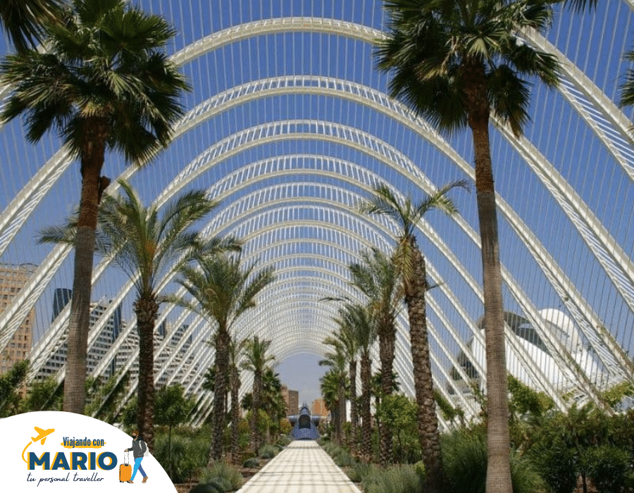 Jardines del Turia Valencia