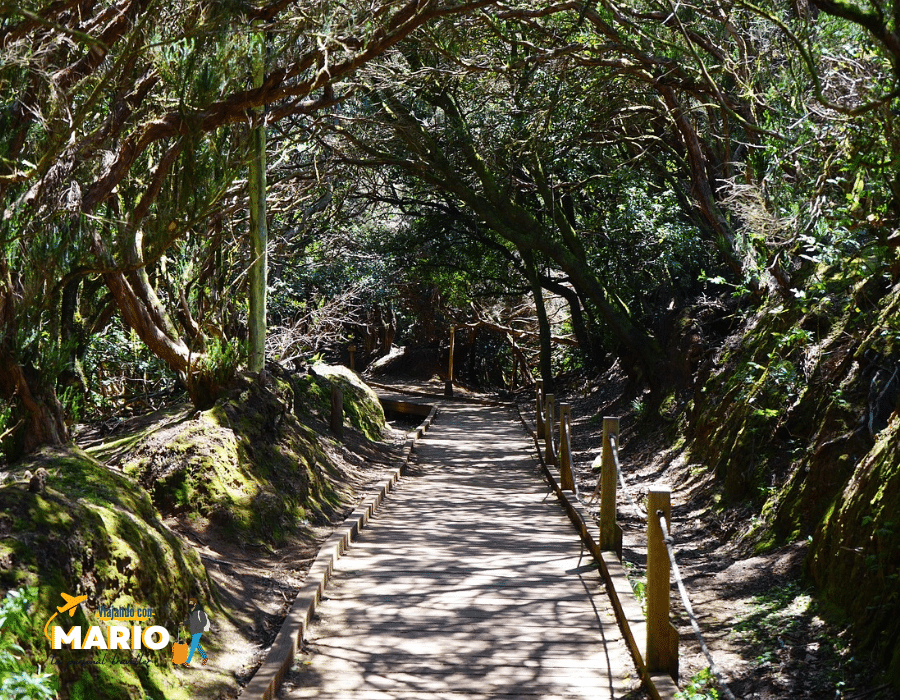 Parque Rural de Anaga Tenerife Norte