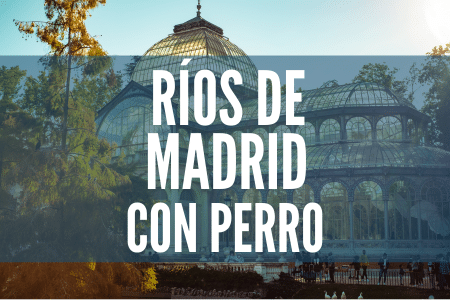 Ríos para ir con perros en Madrid